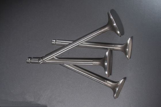 1425ccm ha spazzato le valvole del motore diesel dello scarico del volume per Yanmar 3T84 3TNA84 4TNC88